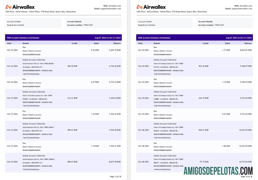 Extrato de conta limitado da Hong Kong Airwallex, 18 páginas 8 exemplo